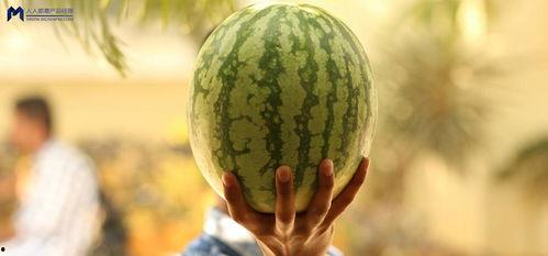 娱乐圈大瓜可以吃吗